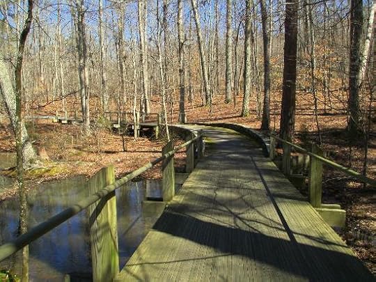 When leaves are out or not, they meander through the woods and over bridges crossing the lakes and mountain streams.