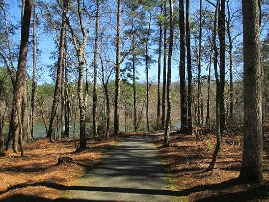 Most of the bike trails are paved for a smooth ride, and if you just can't do the full eight miles, you and your bike can take the ferry back to the boat house.