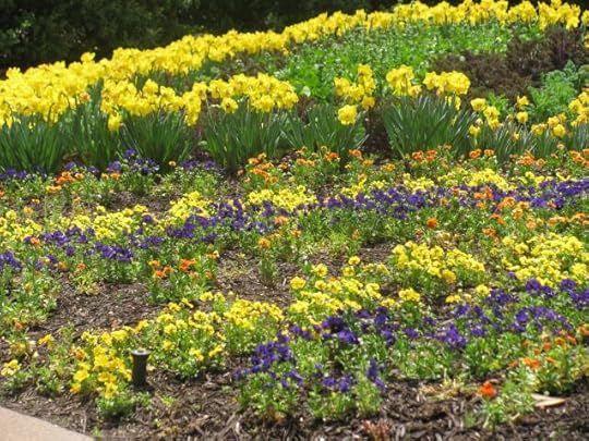 Jonquils and pansies on display around the gardens. I just had to leave you with one more picture of the flowers that make The Gardens so special.