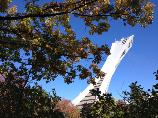 The Olympic Park Tower