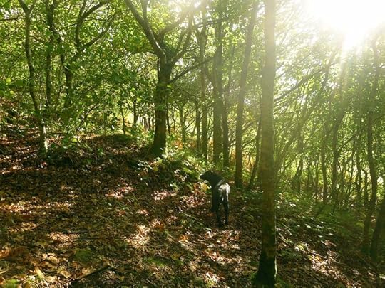 Hill and sun