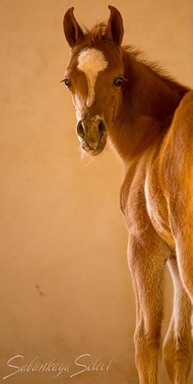  photo tumblr_nd1jomNNiV1sm9ql9o1_1280_zps91e8bc3f.jpg