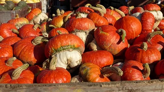 pumpkins at the fruit stand