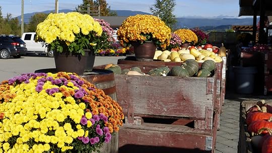 flowers and vegetables at the fruit stand