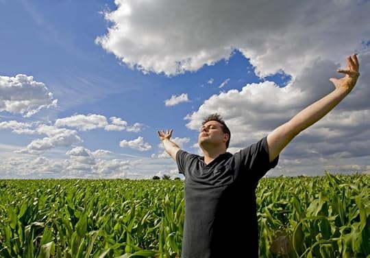 Corn field