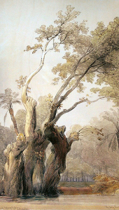 HolyTreeEdit2