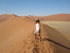 Namibia's Dune 45