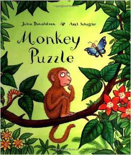 rainforest book