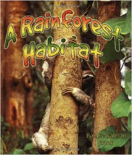rainforest book