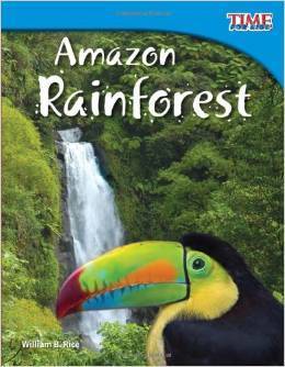 rainforest book