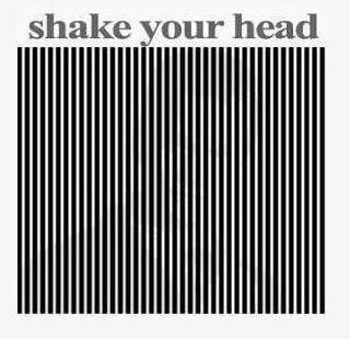 shakeheadillusion