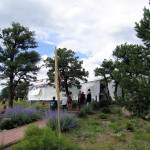Back into the tent