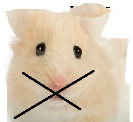 zxxxxxxxxxxxxxxxxxxx888