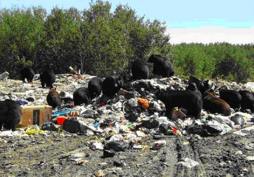 Had it been daylight, this is the sort of romantic backdrop I would have been witness to. 