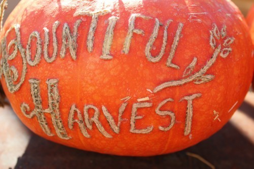 pumpkins at Remnants of the Past