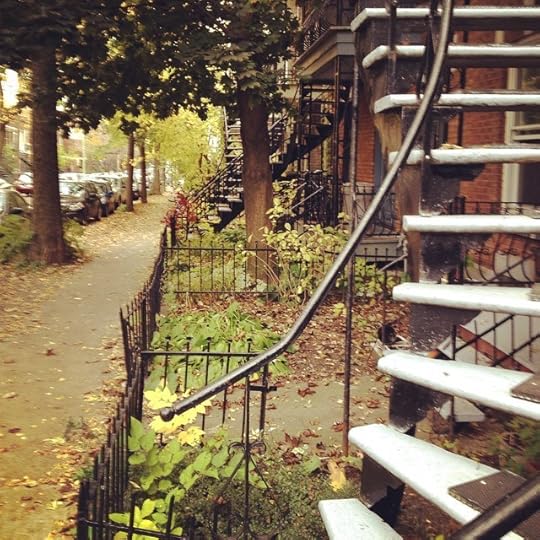 Fall #fall #mtl #qc #pmr