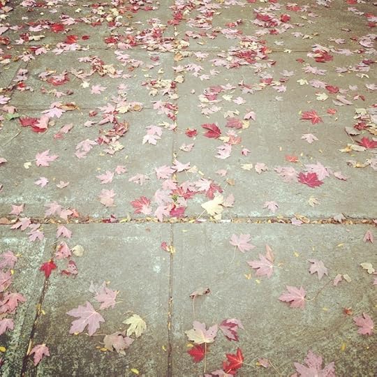 Pink #fall #mtl