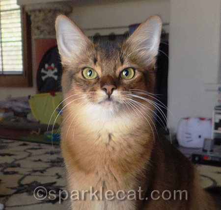 Maybe I can't be grumpy... but I CAN be serious!
