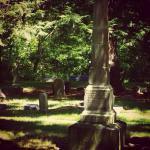 Chestnut Grove Cemetery