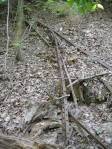 Old rusted girders left from Puritas Springs litter portions of the park