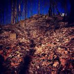 Concrete supports left from the Cyclone roller coaster