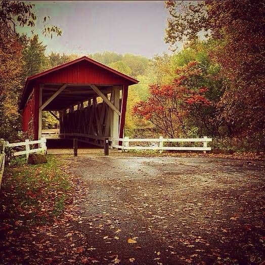 10687194_10201687831997909_3837076660808086955_n