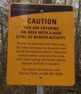 canadabeaversign (2)