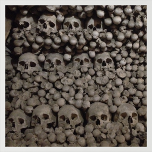 bones and more bones
