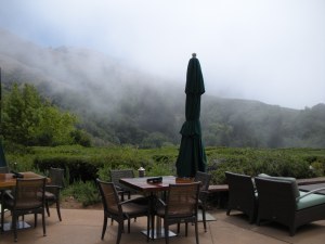 Ventana overlook, Big Sur