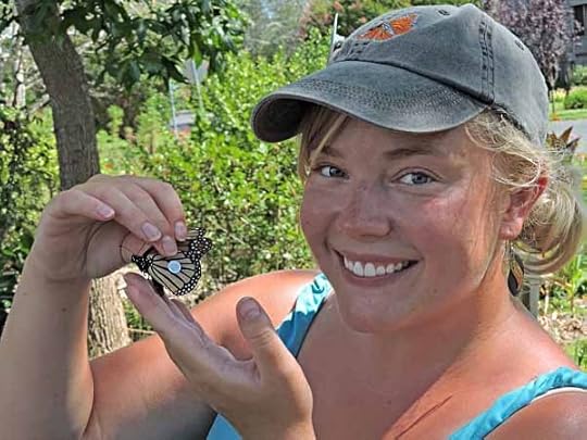 MonarchTagging