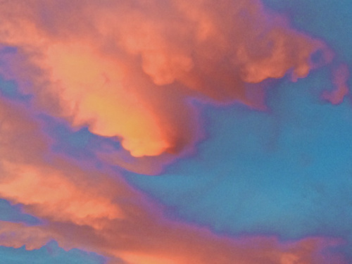 Photo: Quinn McDonald