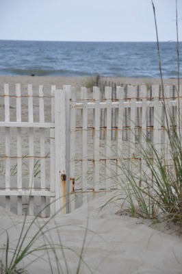  photo 6c8af2753ce377507c6cd668fbd500f8_zps5a318ebb.jpg