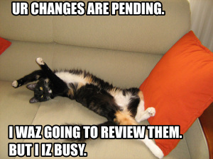 Pending_Changes_Cat
