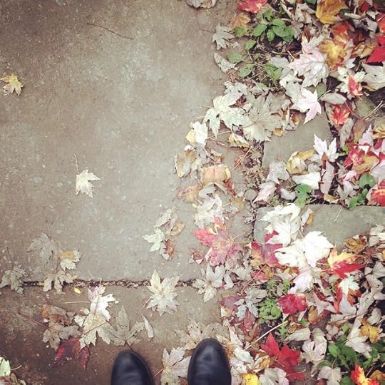 Fall #mtl #igersmtl