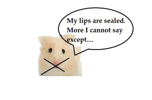 zxxxxxxxxxxxxxxxxxxx88p