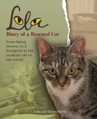 Lola_rescue_cat