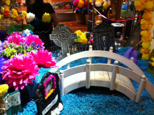 Window display at Casa Bonampak