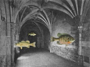 Crypt with Air Fish