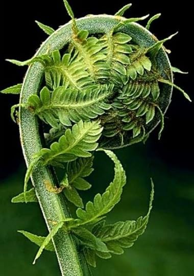 d01d80b06daf87cf6dddc11877eecf38