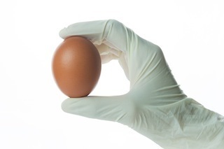 egg lab