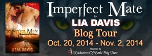 Imperfect_Mat_LiaDavis Blog Tour Banner