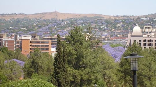 Pretoria is best, of course, at jacaranda time