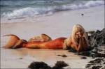 mermaid
