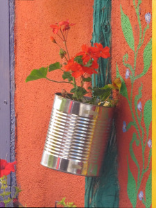 Flowers for Wendy Whelan