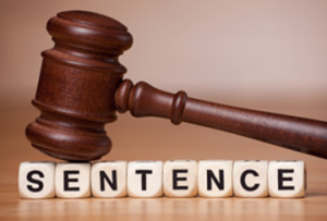 Sentence
