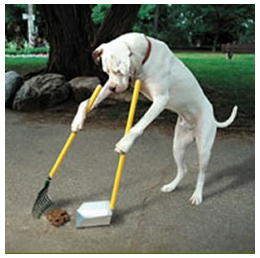 Pooper scooper2