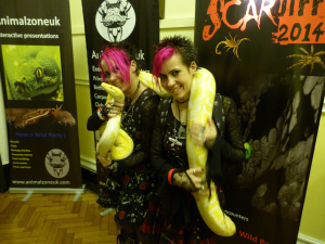 Scardiff
