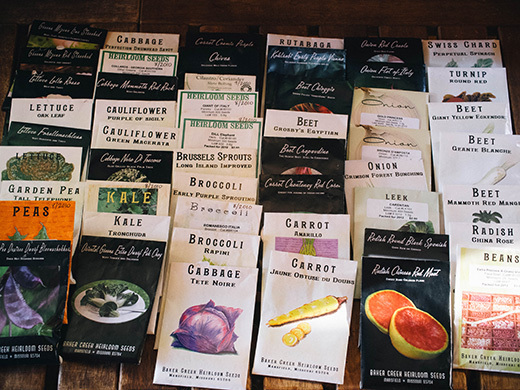 New seeds for fall