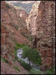 images26