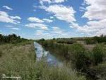 images24
